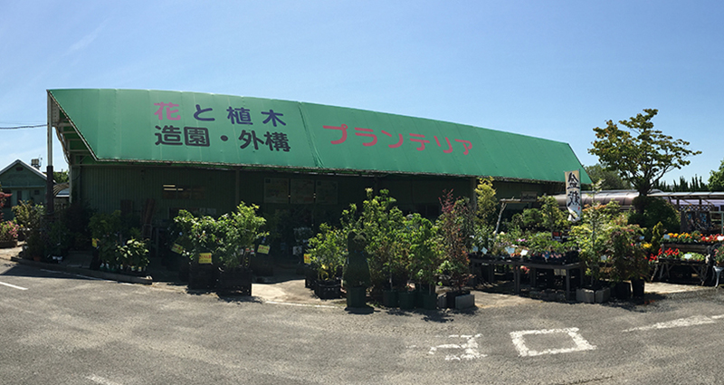 高槻の花屋 植木屋 園芸店 株 プランテリア 会社案内